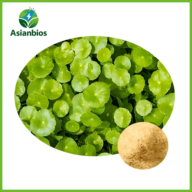 gotu kola extract powder